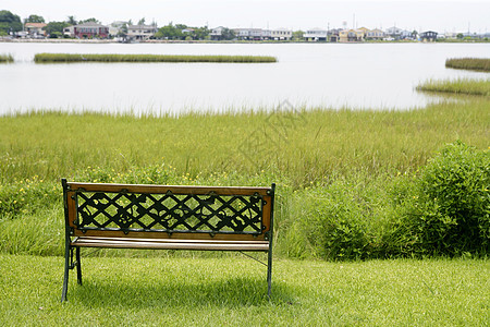 坐在湖边绿草上后院绿化园林房子国家木头植物花园公园长椅图片