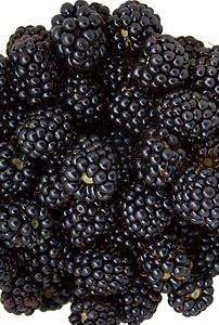 黑莓团体白色浆果紫色食物水果黑色宏观图片