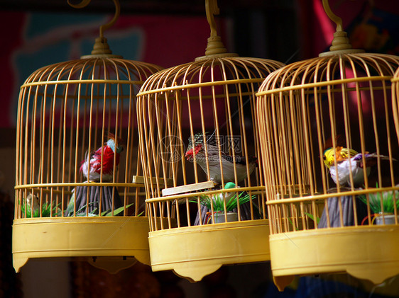 中华民族宠物公园玩具装饰品古董民间艺术传统篮子鸡舍鹦鹉图片