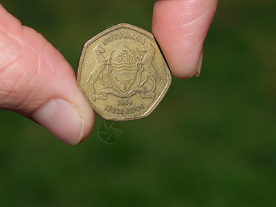 博茨瓦尼硬币图片