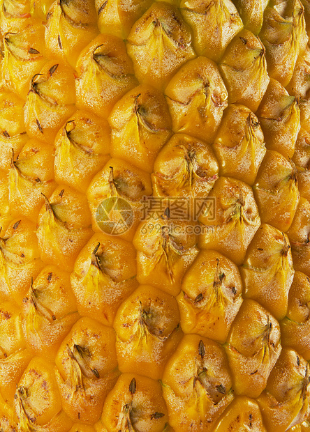 菠萝皮纹理肉质食物营养白色水果美味果皮图片