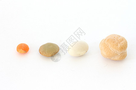 Chickpea和扁豆红色食物绿色豆类种子公克白色脉冲图片