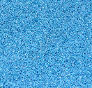 蓝海绵孔细孔图片