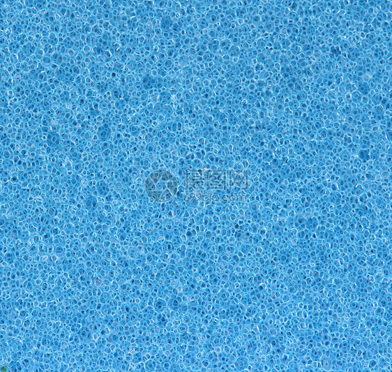 蓝海绵孔细孔图片