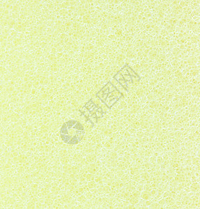 黄黄海绵孔细孔图片