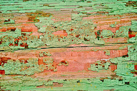 旧被腐坏的木材白蚁材料时间记录风化环境宏观损害浮木昆虫图片