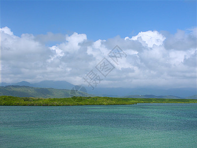 昆士兰州道格拉斯港海岸盎司红树植物群热带漂浮海洋天堂船只支撑帆船图片