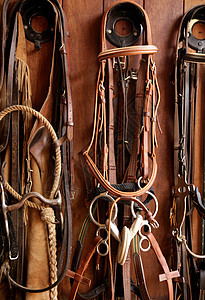 马骑者补马 钻机 皮带 木头上的皮革家畜乡村座位马匹马背齿轮马术乐队马具宠物图片
