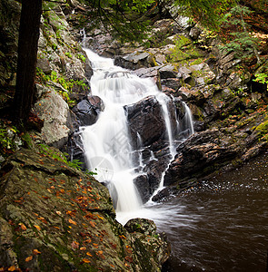 瓦科纳坠落在伯克郡荒野环境流动石头运动森林巨石溪流季节飞溅图片