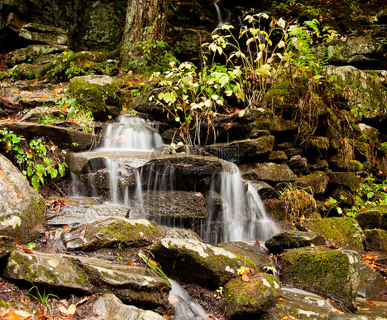 瓦科纳坠落在伯克郡森林巨石叶子岩石飞溅苔藓场景树木溪流石头图片