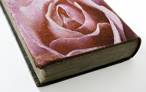玫瑰印在一本旧书的封面上艺术古董教育床单乡村羊皮纸框架植物滚动图片