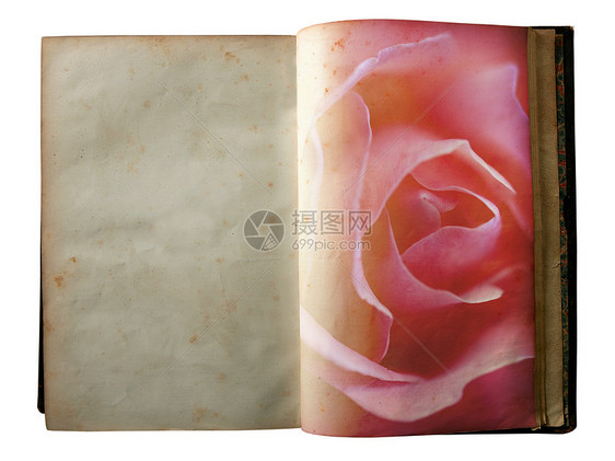 玫瑰印在一本开放旧书的页面上衰变笔记边界历史床单棕褐色艺术古董破烂教育图片