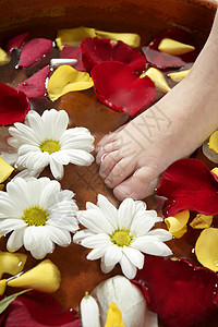 阿罗玛疗法 花脚洗浴 玫瑰花瓣治疗女性女孩们叶子童年保健福利孩子们雏菊护理图片