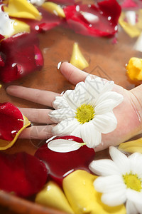 阿罗玛疗法 鲜花洗手澡 玫瑰花瓣孩子孩子们皮肤男生治疗药品保健福利温泉雏菊图片