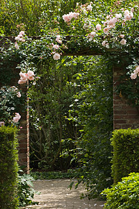 在花园的石墙上开有玫瑰花的门图片