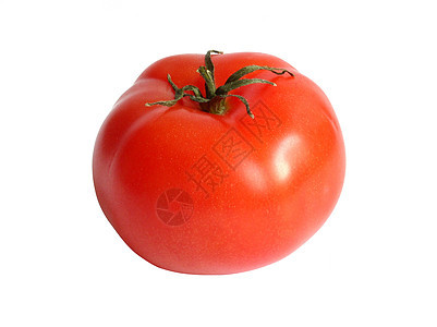 番茄藤蔓营养厨房维生素水果红色食物烹饪图片