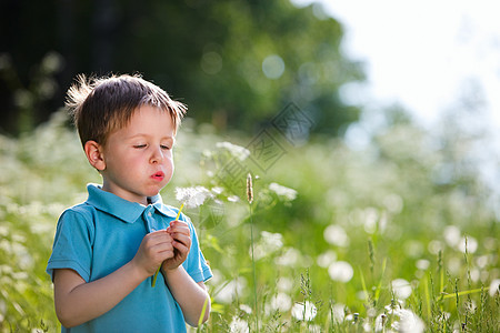 带花生的男孩帽子场地童年草地孩子晴天公园季节绿色图片