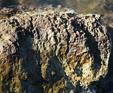码头 谷仓的海洋岩石食物宏观潮汐软体动物支撑甲壳贝类海滩石头图片
