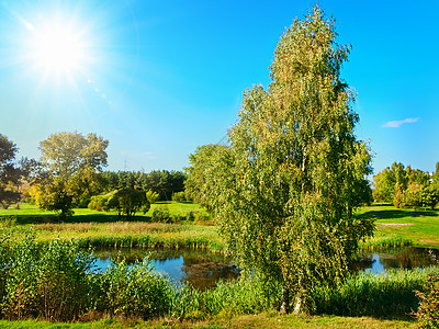 夏季风景天空公园天气孤独花园树木自然植物群场地绿色图片