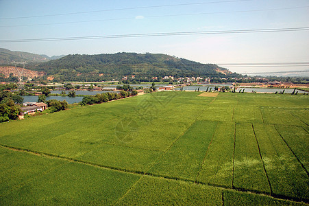 中国地貌     广东清源池塘农村树木场地农业村庄农场绿色种植园丘陵图片