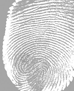 指纹签名探测生物墨水犯罪身份手指识别油漆警察图片