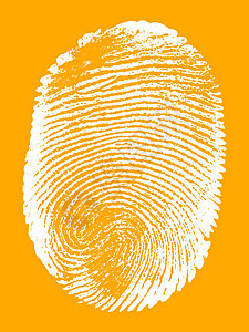 指纹素描身份签名手指刑事识别犯罪框架探测鉴别图片