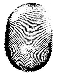 指纹油漆工艺素描刑事警察框架识别探测签名手指图片