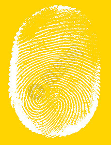 指纹框架调查鉴别油漆识别警察工艺探测身份素描背景图片