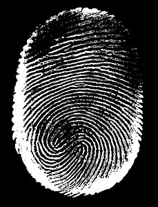 指纹墨水素描鉴别框架探测调查手指油漆签名犯罪图片