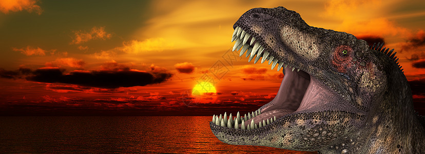 雷克斯太阳升起阳光日落捕食者海洋恐龙动物天空爬行动物食肉危险图片