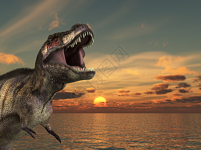 雷克斯太阳升起爬虫波浪危险日出生物时代侵略恐龙海景牙齿图片