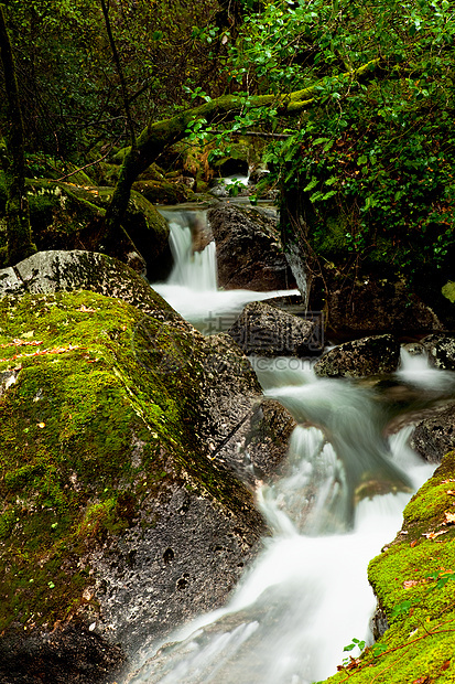 美丽的河流森林风景叶子石头岩石植物群公园季节环境旅行图片