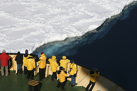 南极洲视图血管冻结企鹅破冰图片