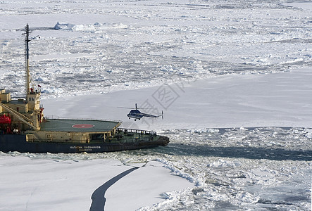 南极洲的破冰器血管企鹅破冰航班土地直升机冻结图片