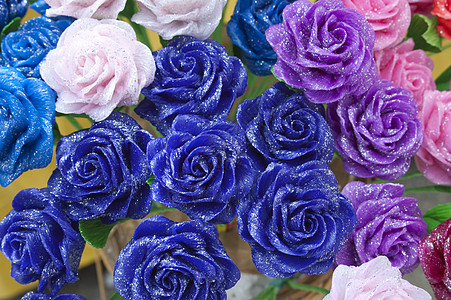 玫瑰花园艺花朵塑料花园念日玫瑰树叶墙纸梦幻花瓣图片