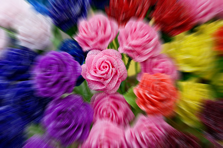 玫瑰花花园梦幻花瓣墙纸彩虹一体化花束混合物玫瑰树叶图片