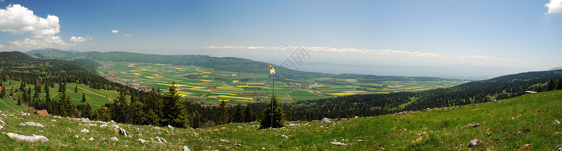 从观测到的Neuchatel地区的全景场地爬坡天空农业花朵基因组木头风向标农场图片