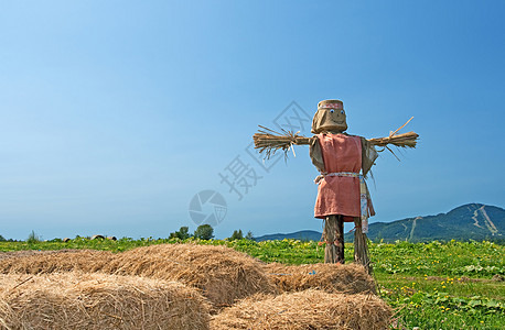 农田上的稻草人图片