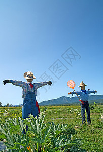 野外稻草人国家娃娃乡村男人干草山脉农村生产植物生长图片