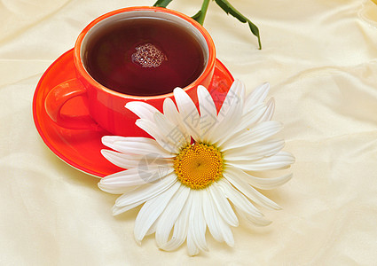 橙茶和柑橘茶黄色文化健康飞碟杯子白色食物叶子绿色草本植物图片