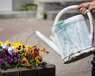 给花浇水花园植物园艺塑料背景图片