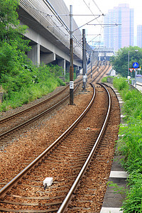 铁路碎石旅行运输过境蓝色日落交通小路车站石头图片