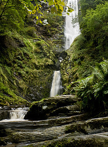 威尔士垂直瀑水美丽苔藓天空森林木头蓝色树叶树木岩石绿色图片