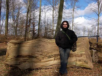 巨树木头帽子环境砍伐森林风险高度四肢男性木屑图片