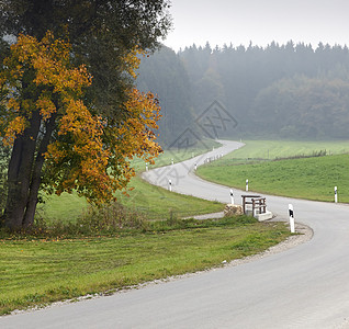 nobel 纳贝车道地平线薄雾沥青场景运输风景树叶国家季节图片