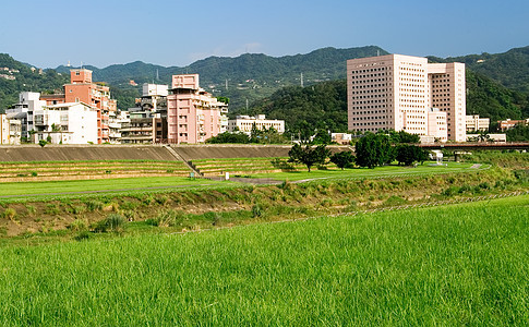 拥有草地公寓的城市景观不动产风景建筑学晴天草地建筑财产奢华房子住宅图片