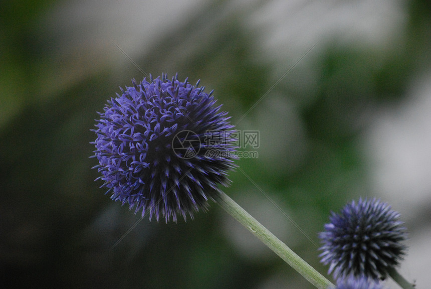 精选国内外高口碑免费nba直播网站提供多线路切换保障观赛体验