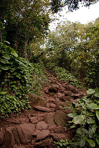 Kauai的Kalalau小道图片