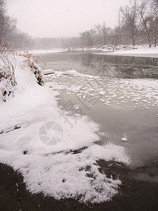 伊利诺伊州北部冬季荒野森林环境栖息地黑鹰流动下雪寒冷寒意季节图片