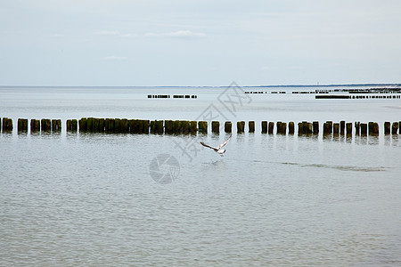 隔水海浪风暴障碍海岸天气地平线海岸线海滩海洋沿海图片